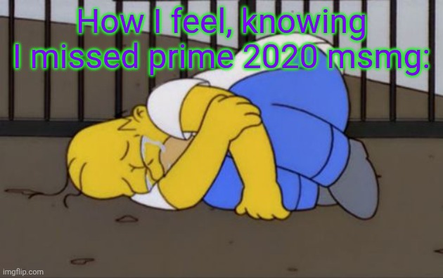 Fetal Position Homer | How I feel, knowing I missed prime 2020 msmg: | image tagged in fetal position homer | made w/ Imgflip meme maker