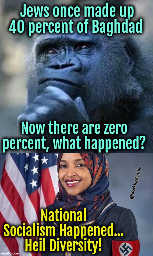 Nazi Diversity | Jews once made up 40 percent of Baghdad; Now there are zero percent, what happened? @darking2jarlie; National Socialism Happened...
Heil Diversity! | image tagged in thinking ape,ilhan omar,islam,socialism,diversity | made w/ Imgflip meme maker