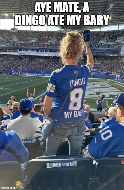 A sports fans jersey says "A dingo 8 my baby".   --  funny -- | AYE MATE, A DINGO ATE MY BABY | image tagged in sports,uniform,play on words,funny,humor,football | made w/ Imgflip meme maker
