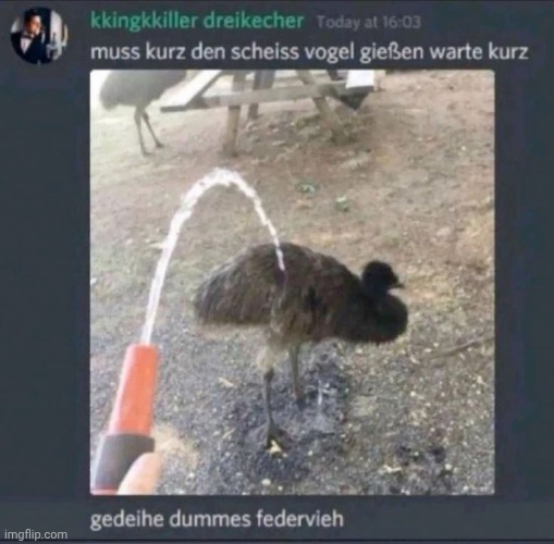 Germans must be rolling on the floor, dying laughing | made w/ Imgflip meme maker