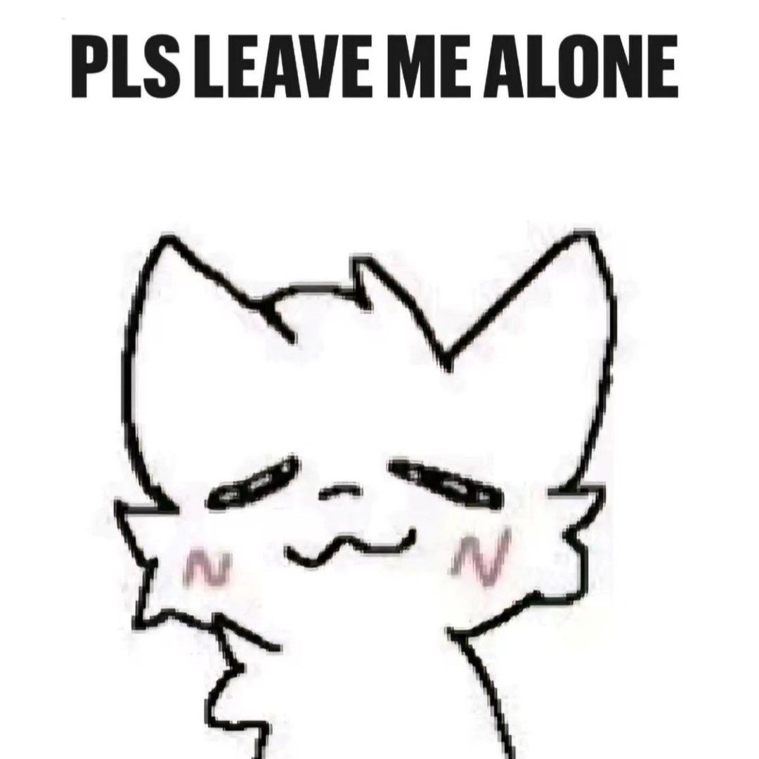 pls leave me alone Blank Meme Template