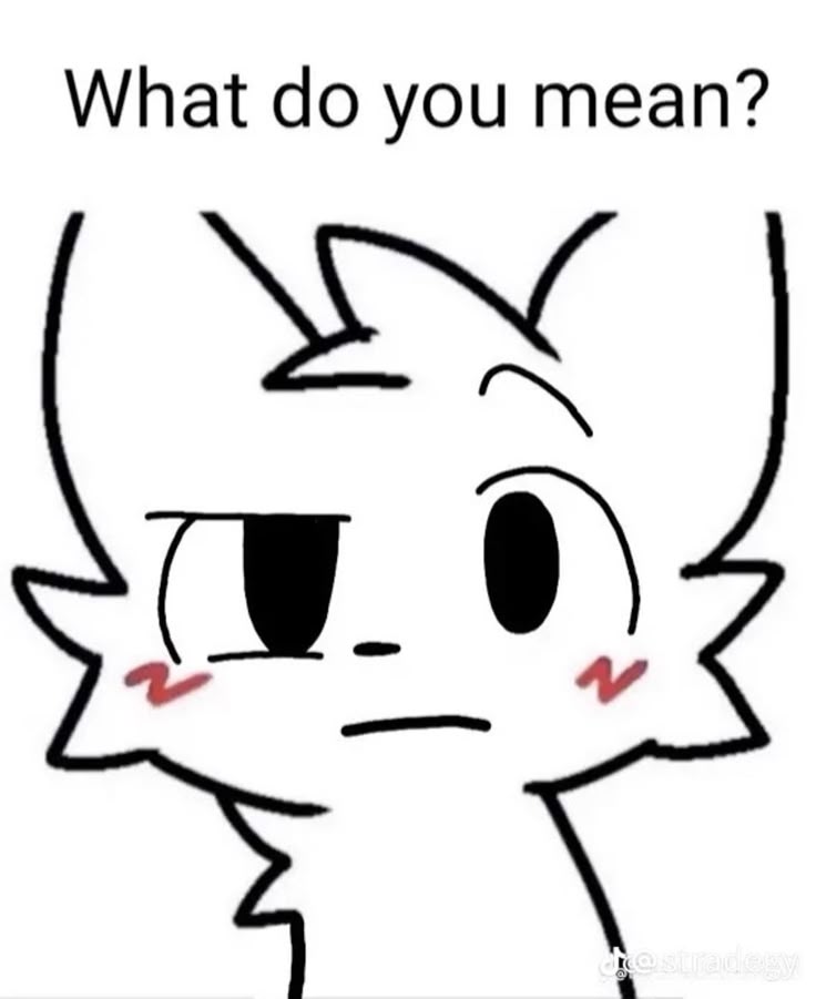 What do you mean? Blank Meme Template