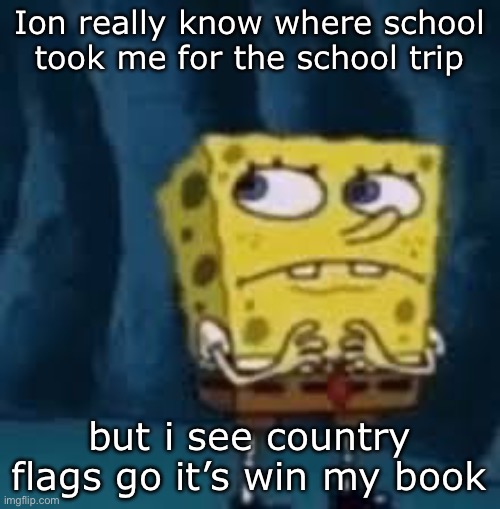 Nervous SpongeBob | Ion really know where school took me for the school trip; but i see country flags go it’s win my book | image tagged in nervous spongebob | made w/ Imgflip meme maker