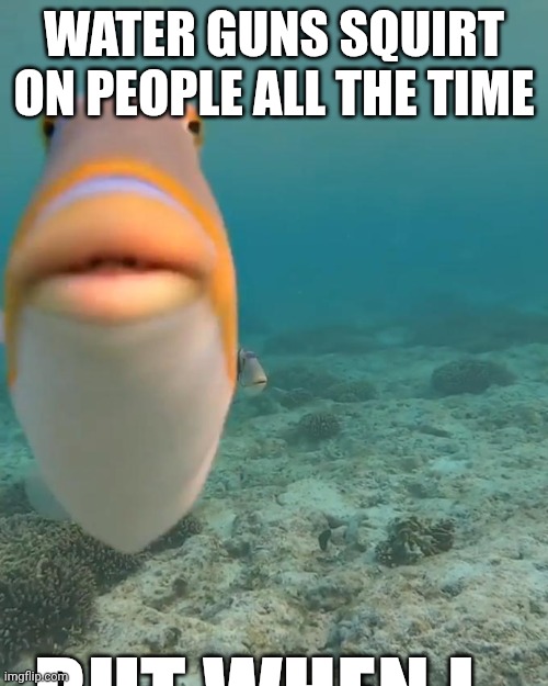 staring fish | WATER GUNS SQUIRT ON PEOPLE ALL THE TIME; BUT WHEN I | image tagged in staring fish | made w/ Imgflip meme maker