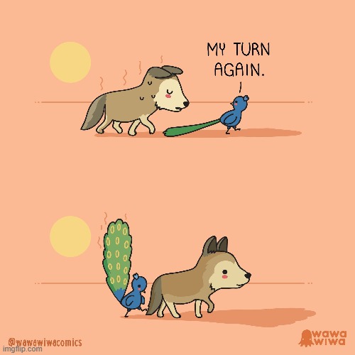 image tagged in coyote,peacock,sun,heat wave,feathers,shade | made w/ Imgflip meme maker