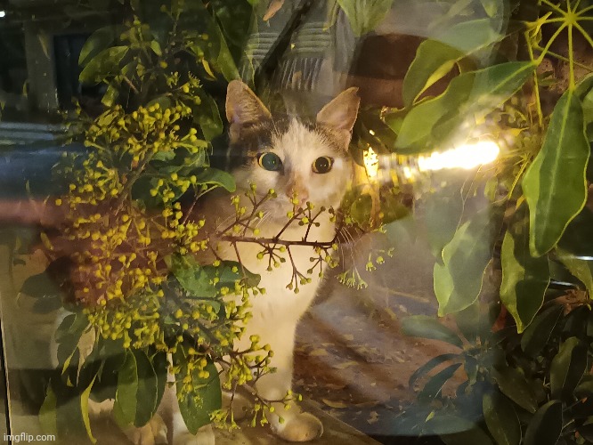 Picture i took yesterday | made w/ Imgflip meme maker