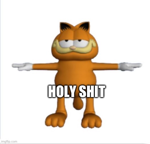 HOLY SHIT | image tagged in garfield t-pose | made w/ Imgflip meme maker