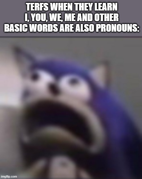 I've only JUST scraped the surface, ask me what other words count as pronouns if you like learning :D | TERFS WHEN THEY LEARN I, YOU, WE, ME AND OTHER BASIC WORDS ARE ALSO PRONOUNS: | image tagged in distress,transphobic,pronouns | made w/ Imgflip meme maker