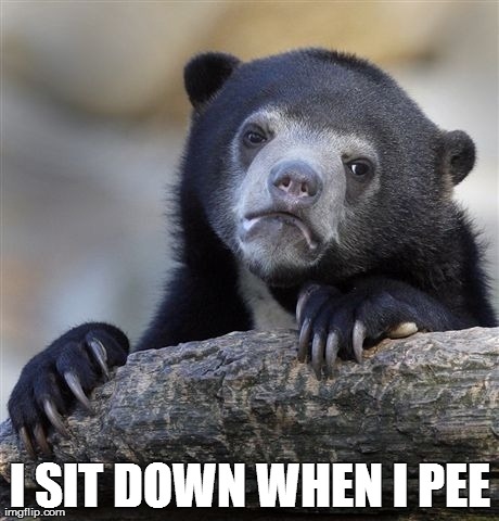 Confession Bear | I SIT DOWN WHEN I PEE | image tagged in memes,confession bear,AdviceAnimals | made w/ Imgflip meme maker