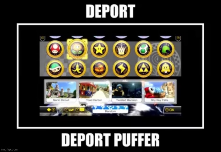 Dear SMII7Y fans, | image tagged in deportation,puffin,meme | made w/ Imgflip meme maker