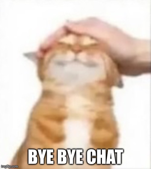 Cat being petted | BYE BYE CHAT | image tagged in cat being petted | made w/ Imgflip meme maker