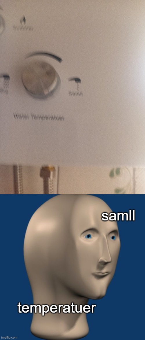 Samll | samll; temperatuer | image tagged in meme man,memes,funny,spelling error,you had one job | made w/ Imgflip meme maker