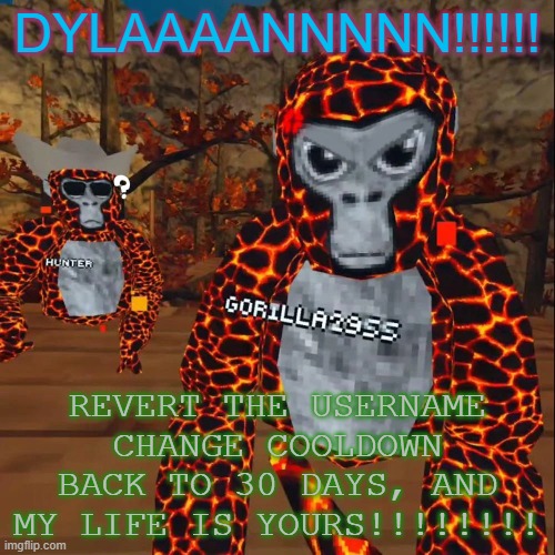 Angry monke | DYLAAAANNNNN!!!!!! REVERT THE USERNAME CHANGE COOLDOWN BACK TO 30 DAYS, AND MY LIFE IS YOURS!!!!!!!! | image tagged in angry monke | made w/ Imgflip meme maker