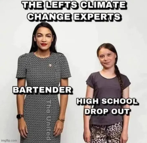 Climate change experts | image tagged in political,reposts,climate change experts | made w/ Imgflip meme maker