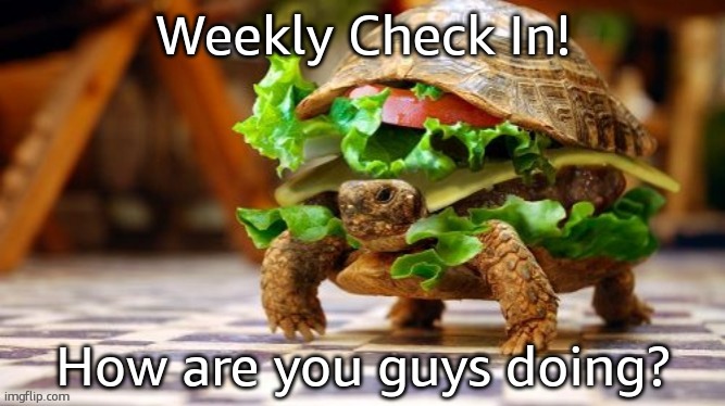 Tortoise Samwich | Weekly Check In! How are you guys doing? | image tagged in tortoise samwich | made w/ Imgflip meme maker