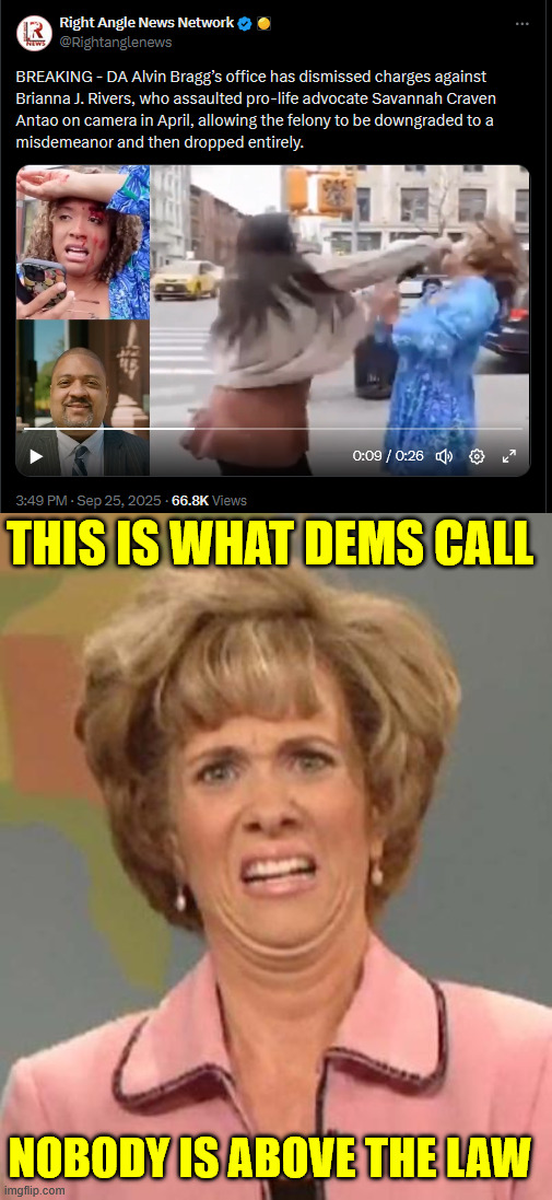 What libs mean when they say nobody is above the law | THIS IS WHAT DEMS CALL; NOBODY IS ABOVE THE LAW | image tagged in remember this,when libs say nobody is above the law | made w/ Imgflip meme maker
