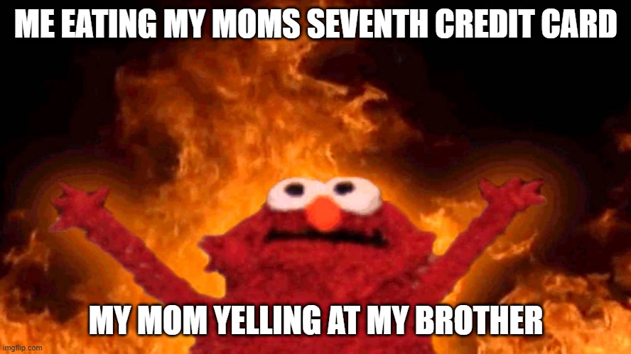 elmo fire | ME EATING MY MOMS SEVENTH CREDIT CARD; MY MOM YELLING AT MY BROTHER | image tagged in elmo fire | made w/ Imgflip meme maker