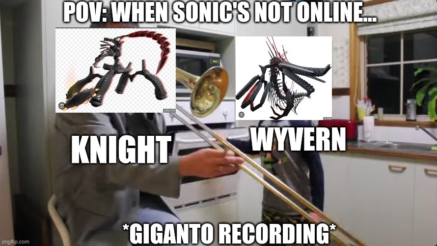 POV: when supreme isn't home | POV: WHEN SONIC'S NOT ONLINE... WYVERN; KNIGHT; *GIGANTO RECORDING* | image tagged in sonic the hedgehog,memes | made w/ Imgflip meme maker