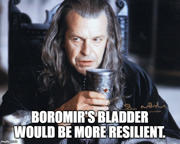 Boromir's bladder | BOROMIR'S BLADDER WOULD BE MORE RESILIENT. | image tagged in boromir would | made w/ Imgflip meme maker