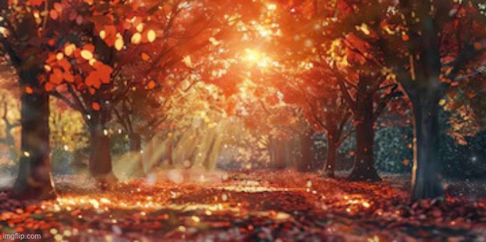 Monday Evening | image tagged in monday evening | made w/ Imgflip meme maker