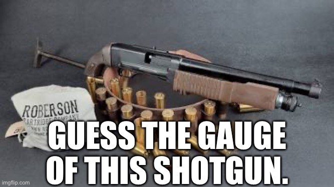 My favorite shotgun | GUESS THE GAUGE OF THIS SHOTGUN. | made w/ Imgflip meme maker