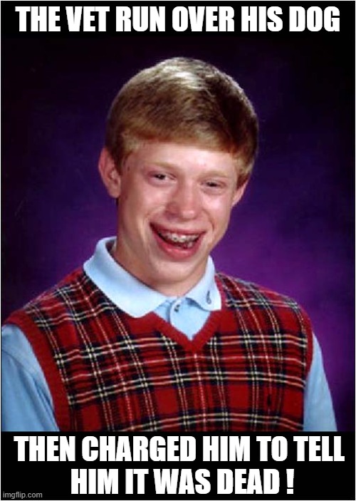 A Bad Day For Brian | THE VET RUN OVER HIS DOG; THEN CHARGED HIM TO TELL
 HIM IT WAS DEAD ! | image tagged in bad luck brian,vet,dead dog,charges | made w/ Imgflip meme maker