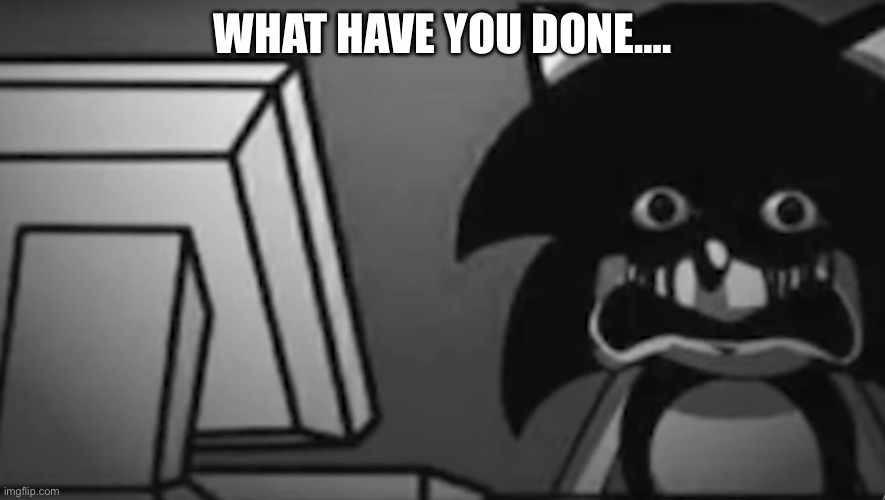 Sonic looking At Your Computer | WHAT HAVE YOU DONE…. | image tagged in sonic looking at your computer | made w/ Imgflip meme maker