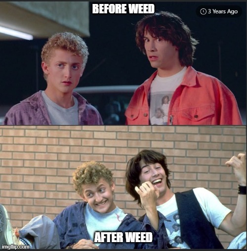 Weed is a healthy vegetable | BEFORE WEED; AFTER WEED | image tagged in weed,420,cannabis | made w/ Imgflip meme maker