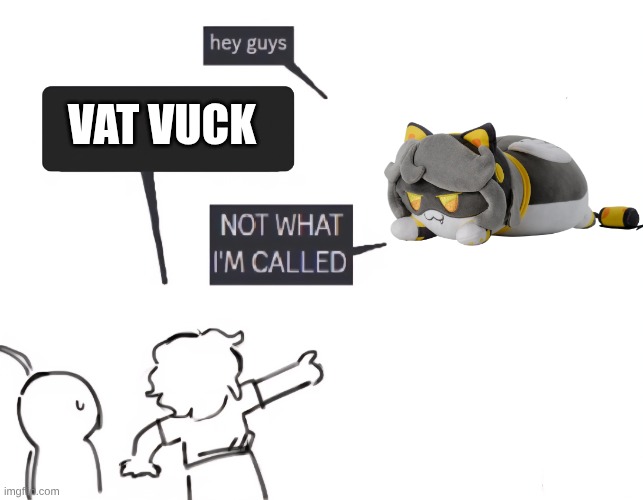 v cat | VAT VUCK | image tagged in not what i'm called,murder drones | made w/ Imgflip meme maker