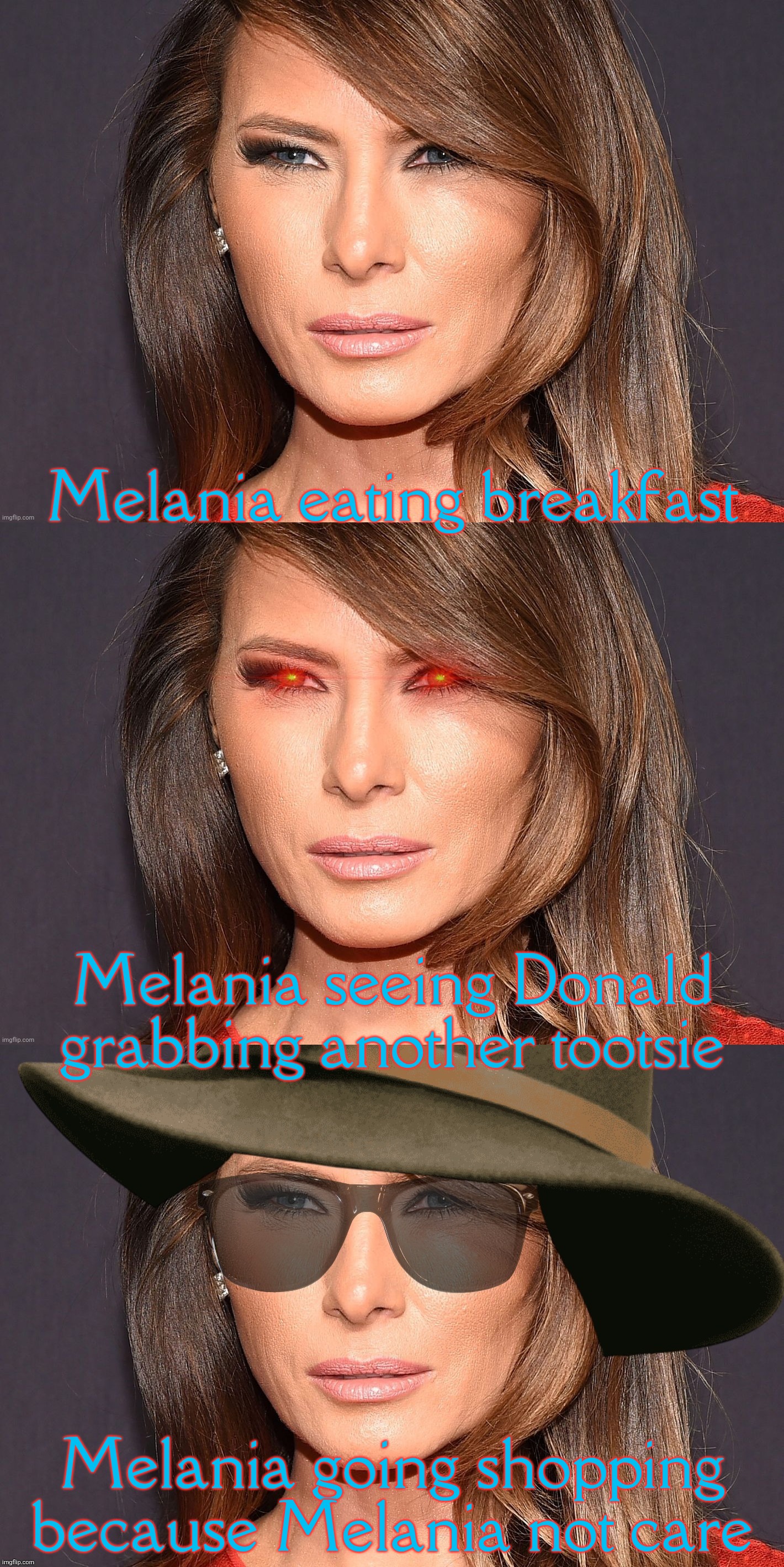 Melania eating breakfast Melania going shopping because Melania not care Melania seeing Donald grabbing another tootsie | made w/ Imgflip meme maker