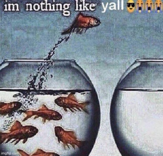 Nothing like yall | image tagged in nothing like yall | made w/ Imgflip meme maker