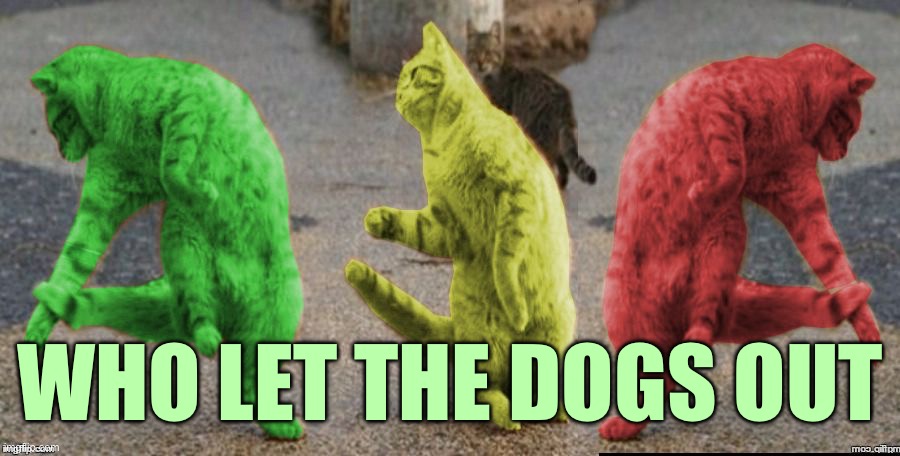Woof woof | WHO LET THE DOGS OUT | image tagged in three dancing raycats,memes | made w/ Imgflip meme maker
