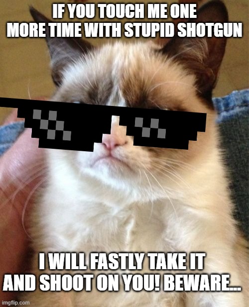 random memes #12 | IF YOU TOUCH ME ONE MORE TIME WITH STUPID SHOTGUN; I WILL FASTLY TAKE IT AND SHOOT ON YOU! BEWARE... | image tagged in memes,grumpy cat | made w/ Imgflip meme maker