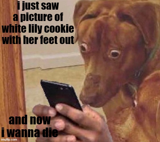 I Did NOT Need To See That | i just saw a picture of white lily cookie with her feet out; and now i wanna die | image tagged in shocked dog,crk,cookie run kingdom,my eyes,pass the unsee juice my bro,oh god why | made w/ Imgflip meme maker
