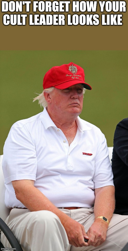 Fat Trumps | DON'T FORGET HOW YOUR CULT LEADER LOOKS LIKE | image tagged in fat trumps | made w/ Imgflip meme maker