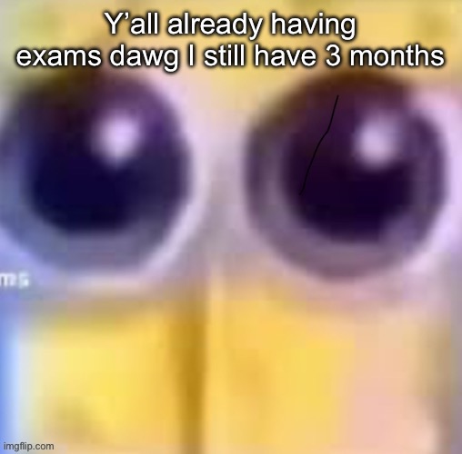 Spankbob zad ;( | Y’all already having exams dawg I still have 3 months | image tagged in spankbob zad | made w/ Imgflip meme maker