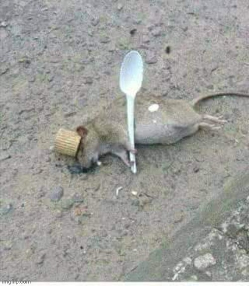 Ratatouille Dead | image tagged in ratatouille dead | made w/ Imgflip meme maker