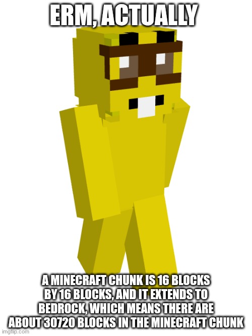 erm actually | ERM, ACTUALLY; A MINECRAFT CHUNK IS 16 BLOCKS BY 16 BLOCKS, AND IT EXTENDS TO BEDROCK, WHICH MEANS THERE ARE ABOUT 30720 BLOCKS IN THE MINECRAFT CHUNK | image tagged in minecraft | made w/ Imgflip meme maker