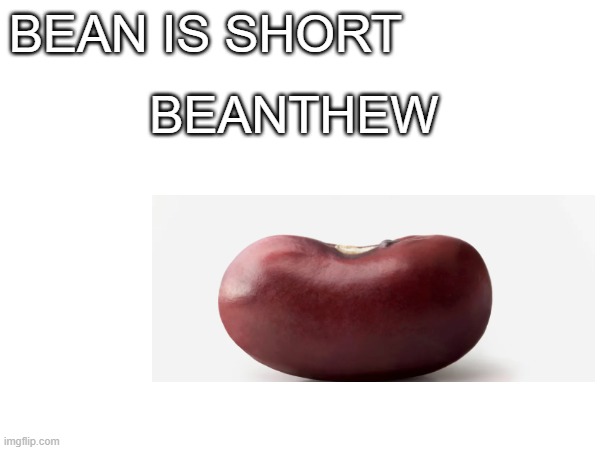 Beanthew | BEAN IS SHORT; BEANTHEW | image tagged in bean | made w/ Imgflip meme maker