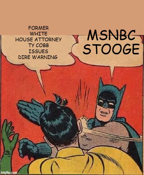 Batman Slapping Robin | FORMER WHITE HOUSE ATTORNEY TY COBB ISSUES DIRE WARNING; MSNBC STOOGE | image tagged in memes,batman slapping robin | made w/ Imgflip meme maker