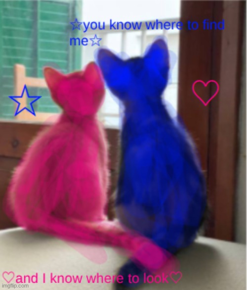 pl3as3 r3m3mber th1s d0nt t4un 0ff th3 l1ght | image tagged in cats | made w/ Imgflip meme maker