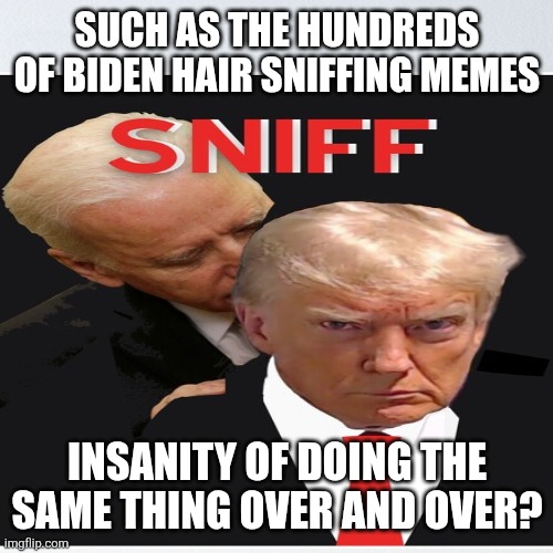 SUCH AS THE HUNDREDS OF BIDEN HAIR SNIFFING MEMES INSANITY OF DOING THE SAME THING OVER AND OVER? | made w/ Imgflip meme maker