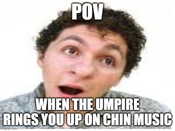 POV; WHEN THE UMPIRE RINGS YOU UP ON CHIN MUSIC | image tagged in dumb people | made w/ Imgflip meme maker
