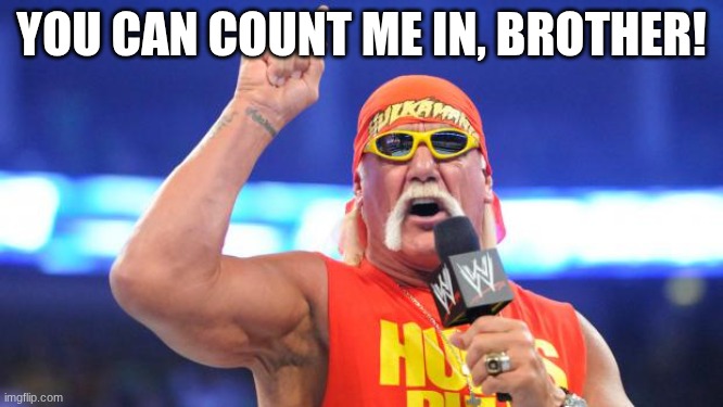 Hulk Hogan | YOU CAN COUNT ME IN, BROTHER! | image tagged in hulk hogan | made w/ Imgflip meme maker