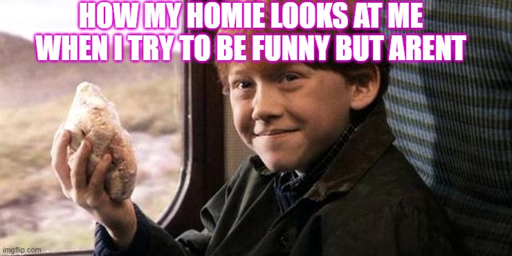 Ron Sandwich | HOW MY HOMIE LOOKS AT ME WHEN I TRY TO BE FUNNY BUT ARENT | image tagged in ron sandwich | made w/ Imgflip meme maker