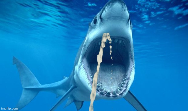 shark open mouth | image tagged in shark open mouth | made w/ Imgflip meme maker