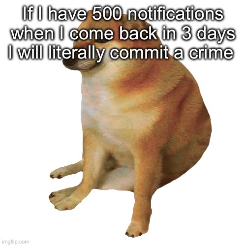 PLEASE DOWNVOTE | If I have 500 notifications when I come back in 3 days I will literally commit a crime | image tagged in cheems | made w/ Imgflip meme maker