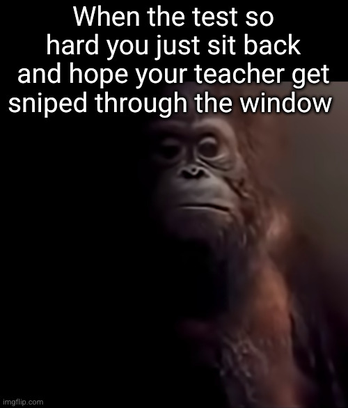 it's the most realistic option | When the test so hard you just sit back and hope your teacher get sniped through the window | image tagged in test,math,so true,funny,orangutan,school | made w/ Imgflip meme maker