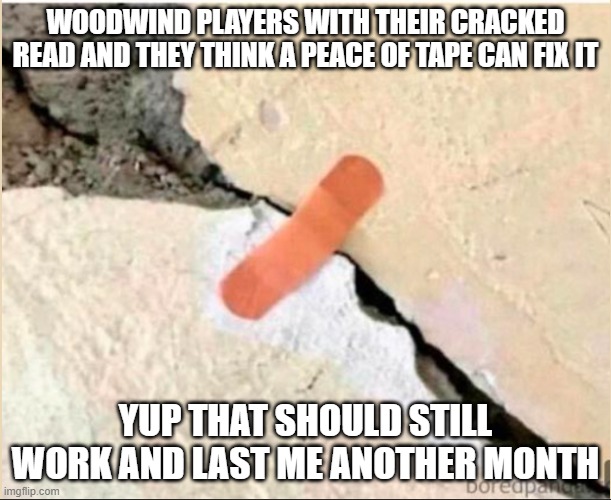 woodwind players | WOODWIND PLAYERS WITH THEIR CRACKED READ AND THEY THINK A PEACE OF TAPE CAN FIX IT; YUP THAT SHOULD STILL WORK AND LAST ME ANOTHER MONTH | made w/ Imgflip meme maker