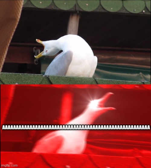 Deep Breath Seagull | AAAAAAAAAAAAAAAAAAAAAAAAAAAAAAAAAAAAAAAAAAAAAAAAAAAAAA | image tagged in deep breath seagull | made w/ Imgflip meme maker